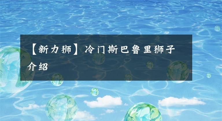 【新力狮】冷门斯巴鲁里狮子介绍文章配图