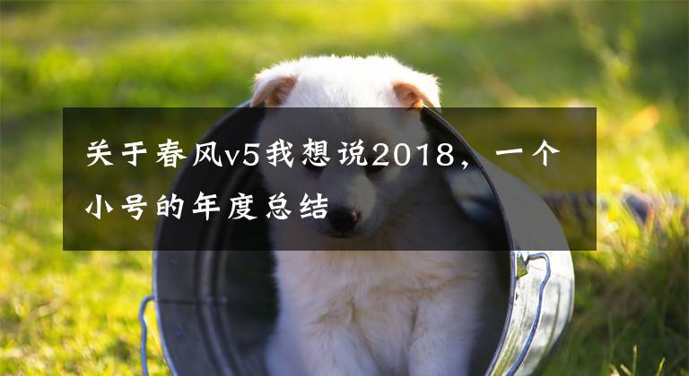 关于春风v5我想说2018，一个小号的年度总结