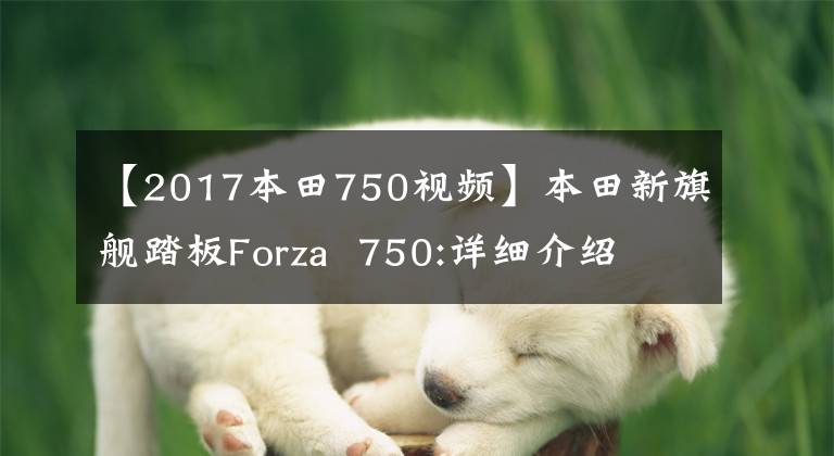【2017本田750视频】本田新旗舰踏板Forza  750:详细介绍