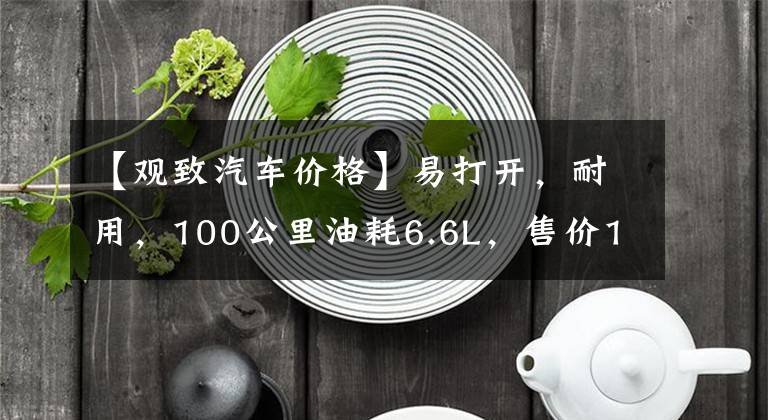 【观致汽车价格】易打开，耐用，100公里油耗6.6L，售价10.59万韩元，分析官3文章配图