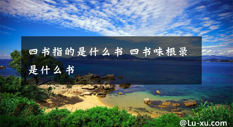 四书指的是什么书 四书味根录是什么书文章配图
