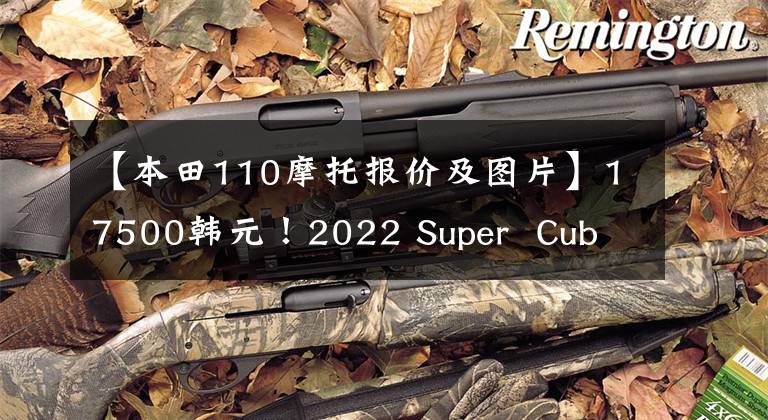 【本田110摩托报价及图片】17500韩元！2022 Super Cub 110 Pro日本上市