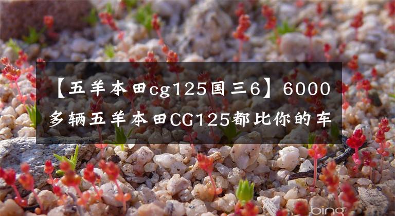 【五羊本田cg125国三6】6000多辆五羊本田CG125都比你的车抗造，为什么？文章配图