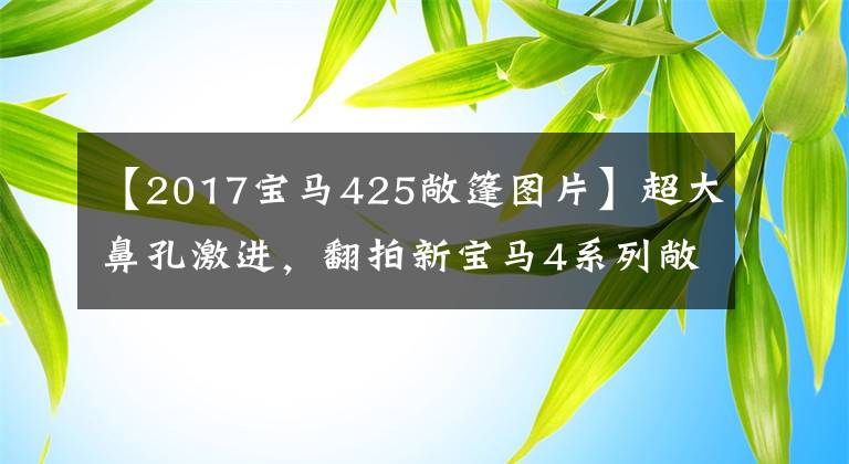 【2017宝马425敞篷图片】超大鼻孔激进，翻拍新宝马4系列敞篷版比硬顶贵10万韩元。