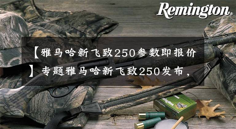 【雅马哈新飞致250参数即报价】专题雅马哈新飞致250发布，售1.98万元，这次只能沦为中老年摩旅利器文章配图