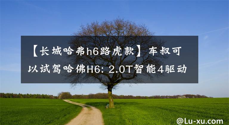 【长城哈弗h6路虎款】车叔可以试驾哈佛H6: 2.0T智能4驱动器，进行快速越野。