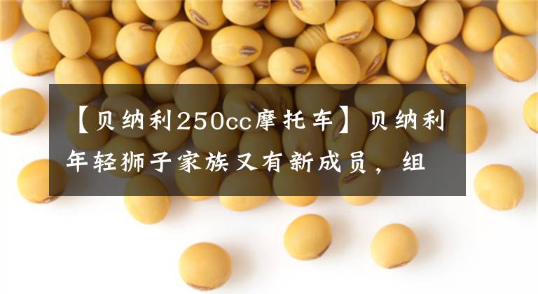 【贝纳利250cc摩托车】贝纳利年轻狮子家族又有新成员，组装了150水冷发动机，进入门槛更低