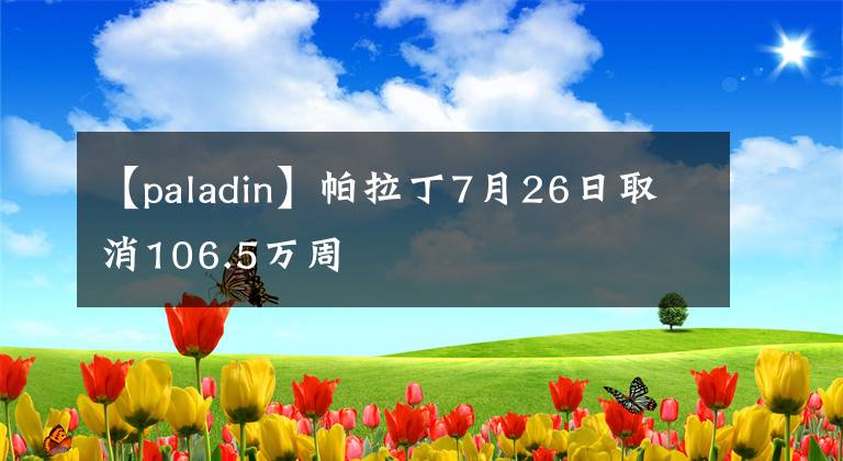 【paladin】帕拉丁7月26日取消106.5万周