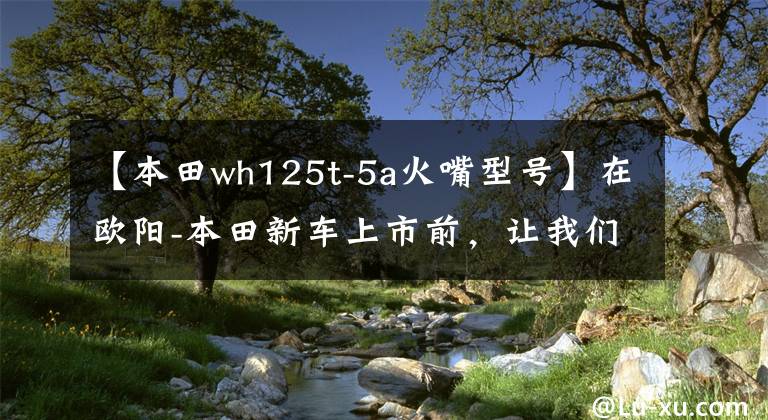 【本田wh125t-5a火嘴型号】在欧阳-本田新车上市前，让我们一起看看在过去的25年里欧阳-本田制造了什么样的车！