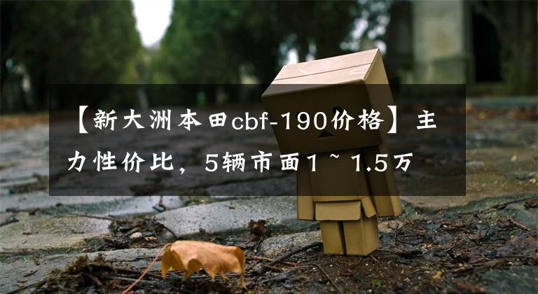 【新大洲本田cbf-190价格】主力性价比，5辆市面1 ~ 1.5万辆拉力摩托车