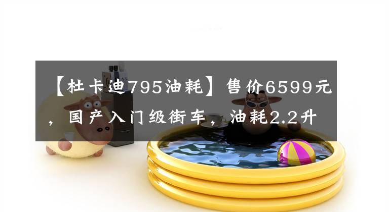 【杜卡迪795油耗】售价6599元，国产入门级街车，油耗2.2升，被称为升仕250的弟弟！