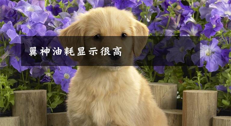 翼神油耗显示很高文章配图