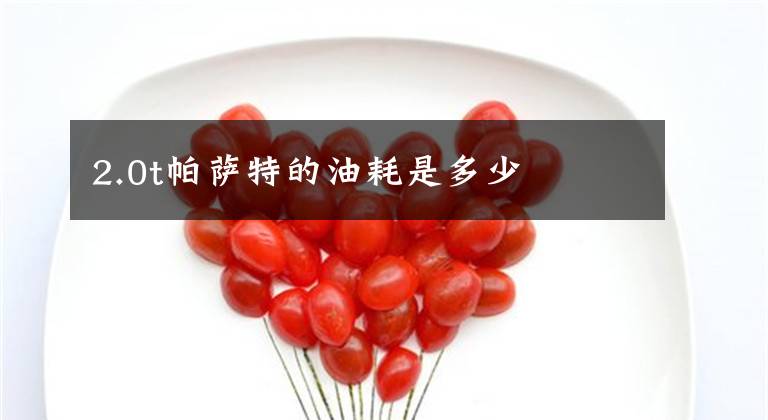 2.0t帕萨特的油耗是多少文章配图