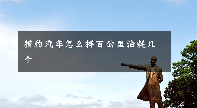 猎豹汽车怎么样百公里油耗几个文章配图