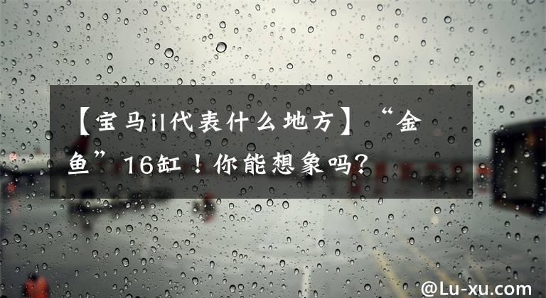 【宝马il代表什么地方】“金鱼”16缸！你能想象吗？