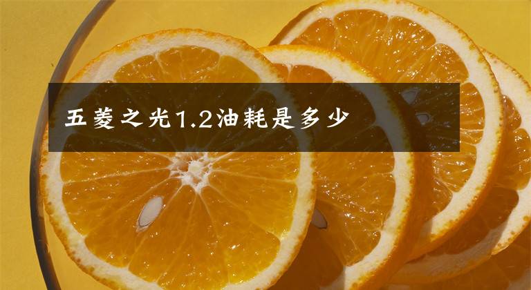 五菱之光1.2油耗是多少文章配图
