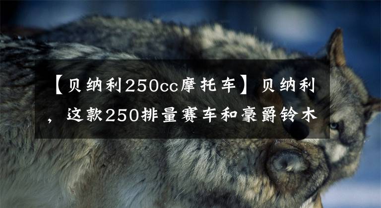 【贝纳利250cc摩托车】贝纳利，这款250排量赛车和豪爵铃木250怎么选，造型风的仿制比赛吗？