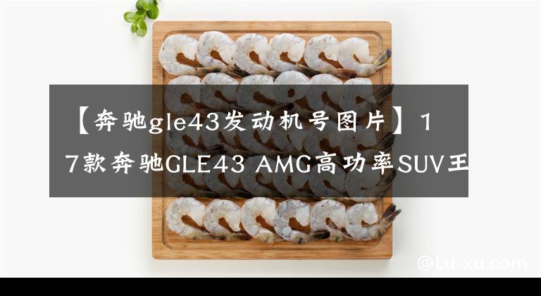 【奔驰gle43发动机号图片】17款奔驰GLE43 AMG高功率SUV王者荣耀