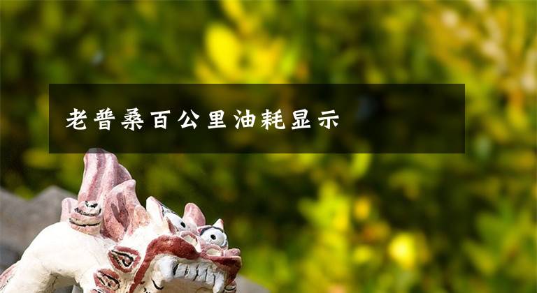 老普桑百公里油耗显示文章配图