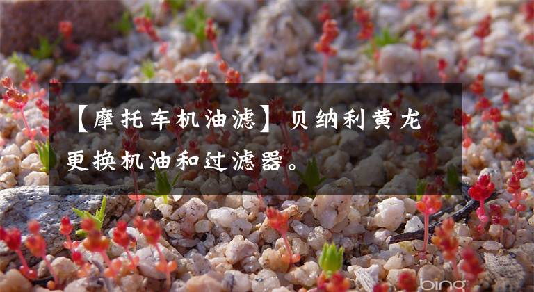 【摩托车机油滤】贝纳利黄龙更换机油和过滤器。文章配图