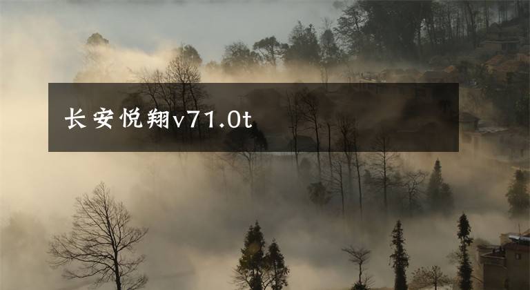 长安悦翔v71.0t文章配图
