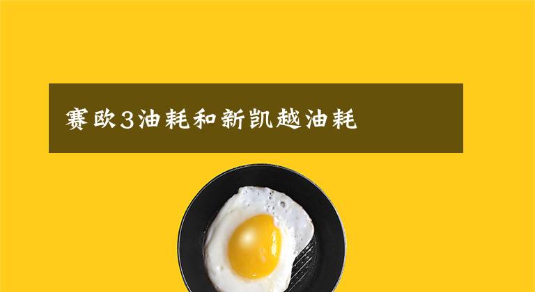 赛欧3油耗和新凯越油耗文章配图