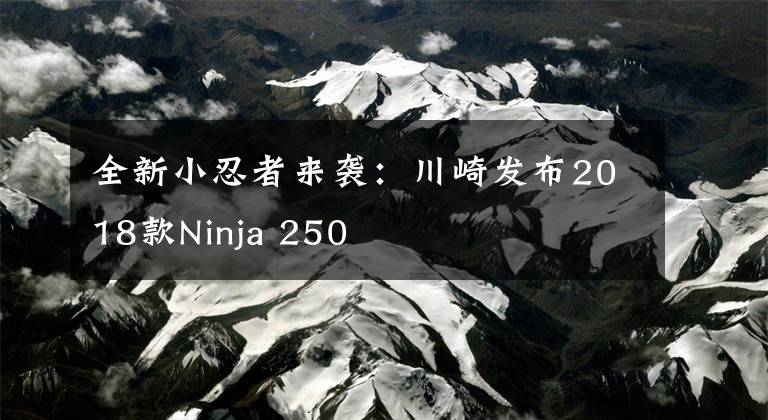 全新小忍者来袭：川崎发布2018款Ninja 250