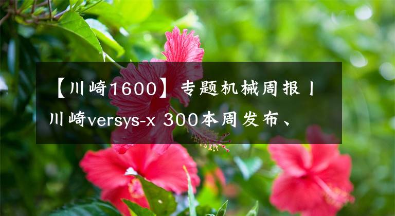 【川崎1600】专题机械周报丨川崎versys-x 300本周发布、国产跨界ADV踏板曝光