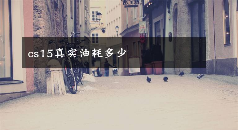 cs15真实油耗多少文章配图
