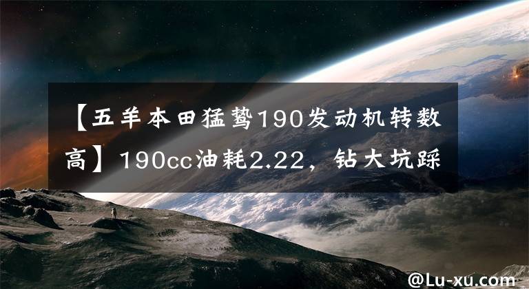 【五羊本田猛鸷190发动机转数高】190cc油耗2.22，钻大坑踩平地面。