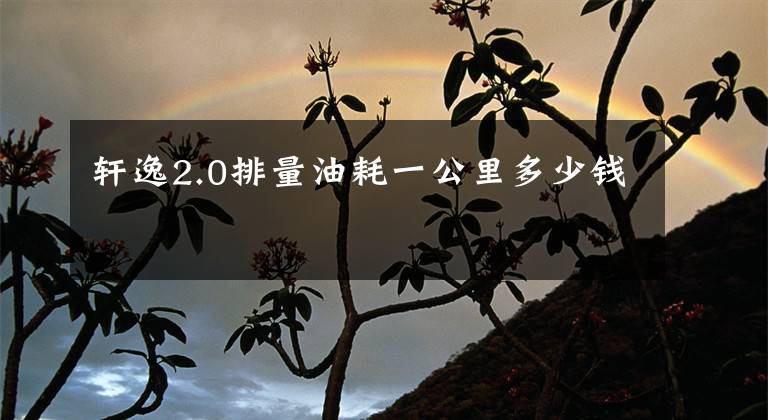 轩逸2.0排量油耗一公里多少钱文章配图
