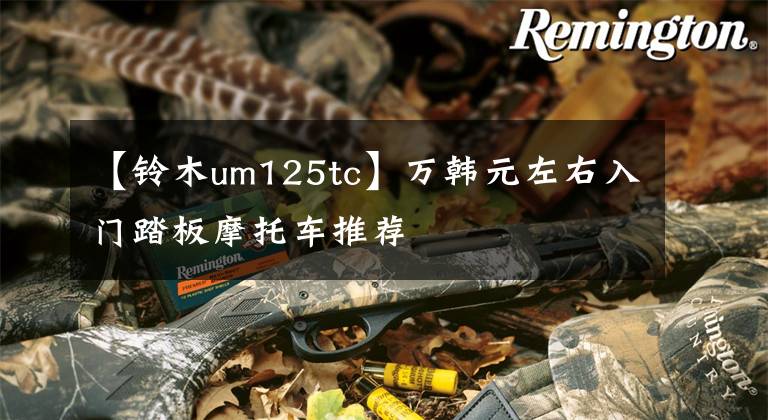【铃木um125tc】万韩元左右入门踏板摩托车推荐文章配图