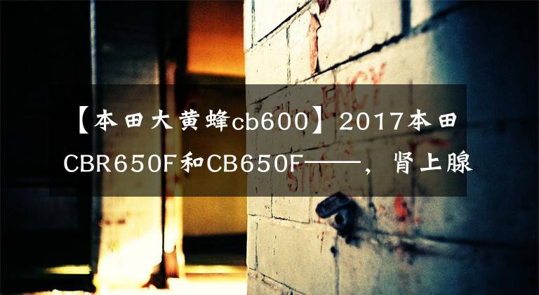 【本田大黄蜂cb600】2017本田CBR650F和CB650F——，肾上腺素飙升。