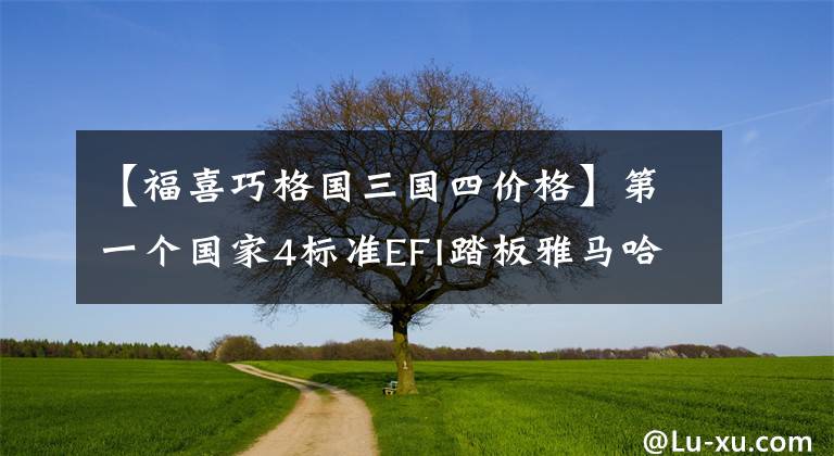 【福喜巧格国三国四价格】第一个国家4标准EFI踏板雅马哈推出新教格I，7980韩元文章配图