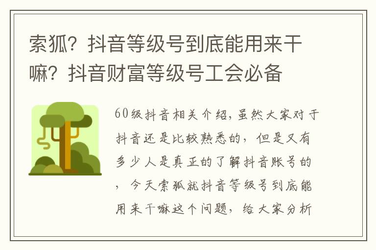 索狐？抖音等级号到底能用来干嘛？抖音财富等级号工会必备文章配图