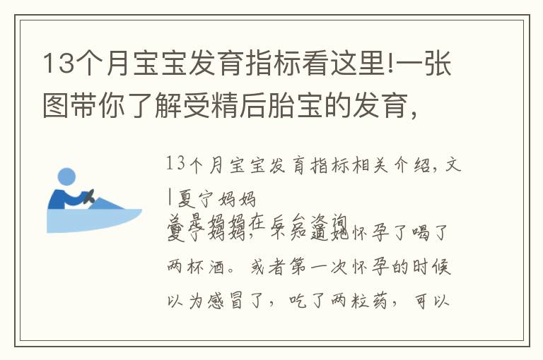 13个月宝宝发育指标看这里!一张图带你了解受精后胎宝的发育，孕妈早清楚避免畸形发生