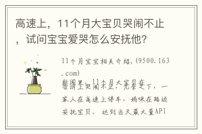 高速上，11个月大宝贝哭闹不止，试问宝宝爱哭怎么安抚他？