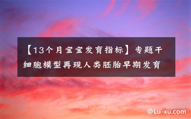 【13个月宝宝发育指标】专题干细胞模型再现人类胚胎早期发育