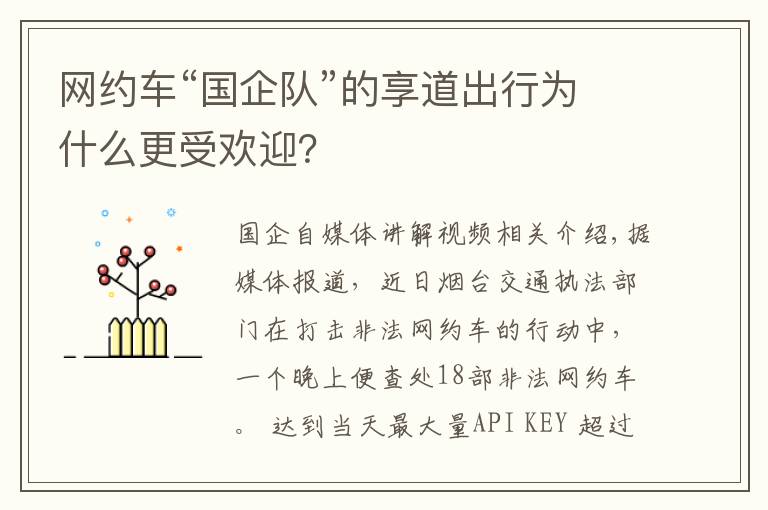 网约车“国企队”的享道出行为什么更受欢迎？文章配图
