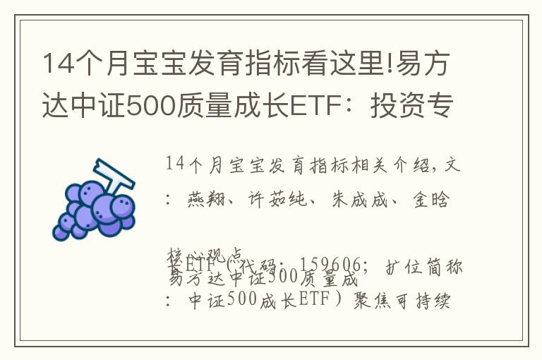 14个月宝宝发育指标看这里!易方达中证500质量成长ETF：投资专精特新高质量成长（国信策略）