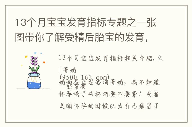 13个月宝宝发育指标专题之一张图带你了解受精后胎宝的发育，孕妈早清楚避免畸形发生