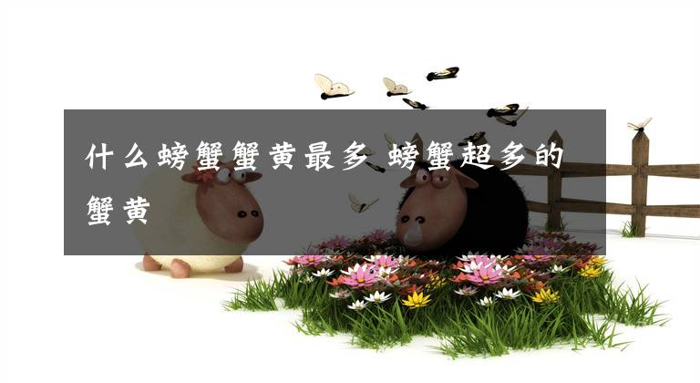 什么螃蟹蟹黄最多 螃蟹超多的蟹黄文章配图