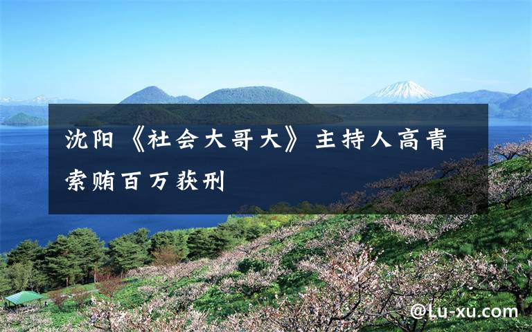 沈阳《社会大哥大》主持人高青索贿百万获刑文章配图