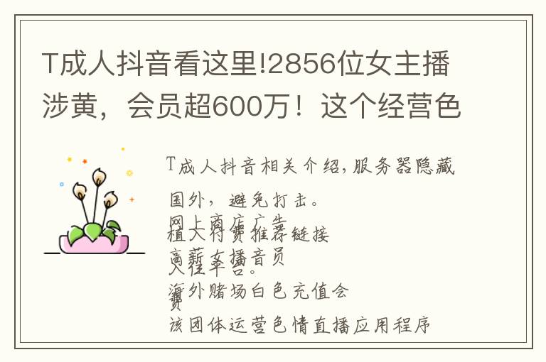 T成人抖音看这里!2856位女主播涉黄，会员超600万！这个经营色情直播App团伙被公诉