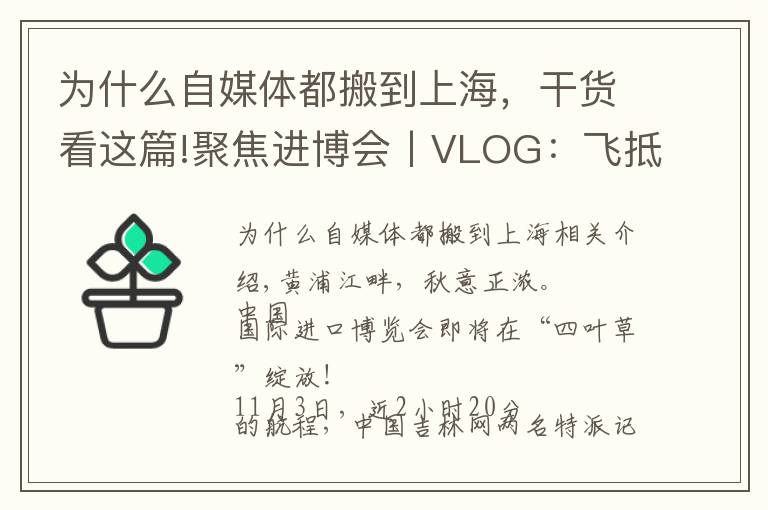 为什么自媒体都搬到上海，干货看这篇!聚焦进博会丨VLOG：飞抵上海后 在展会中“记者娘家”被暖到了……