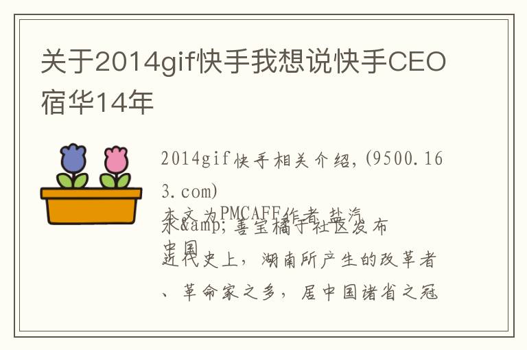 关于2014gif快手我想说快手CEO宿华14年