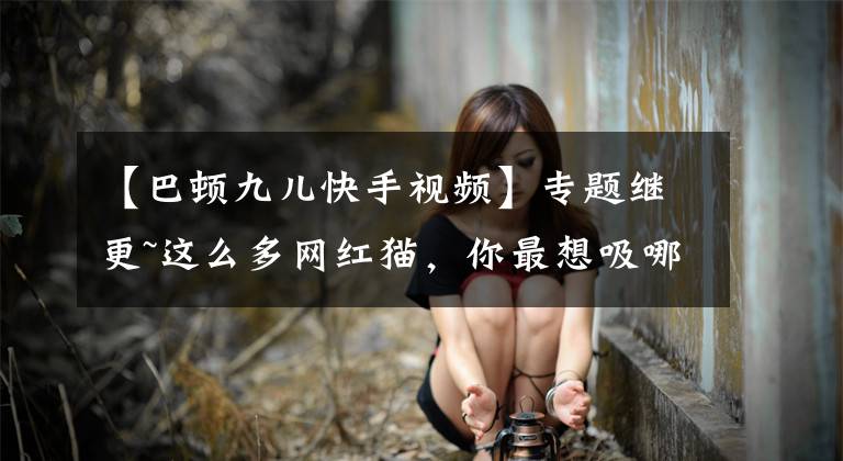 【巴顿九儿快手视频】专题继更~这么多网红猫，你最想吸哪只？