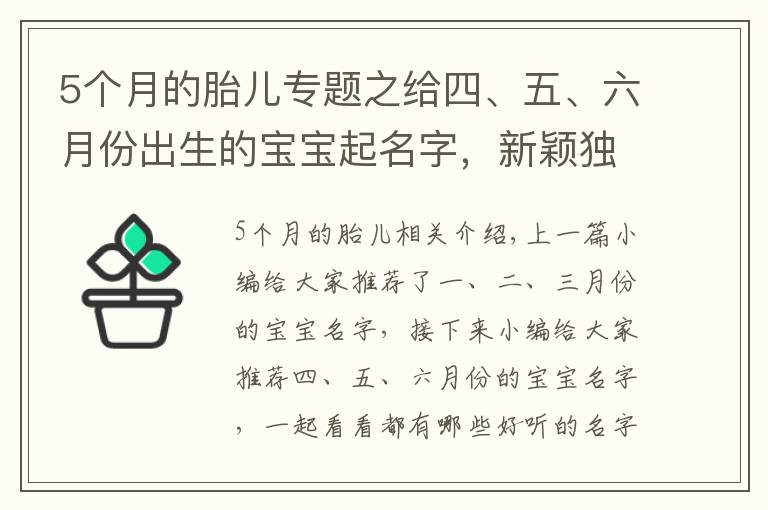 5个月的胎儿专题之给四、五、六月份出生的宝宝起名字，新颖独特有意义