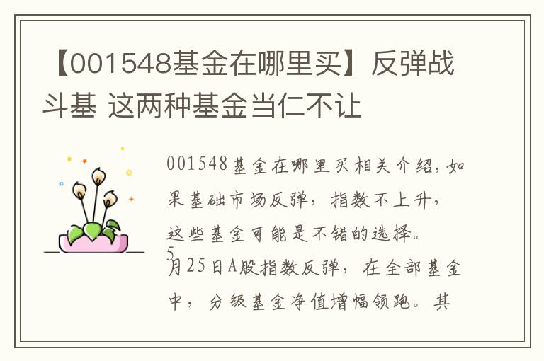 【001548基金在哪里买】反弹战斗基 这两种基金当仁不让