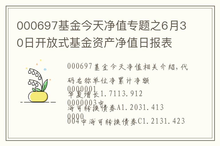 000697基金今天净值专题之6月30日开放式基金资产净值日报表